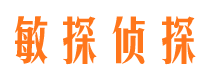 元谋市私家侦探